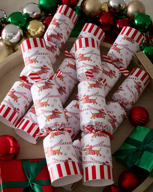 Racing Sausage Dog Christmas Crackers, Set of 6